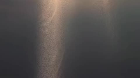 Nature seen video