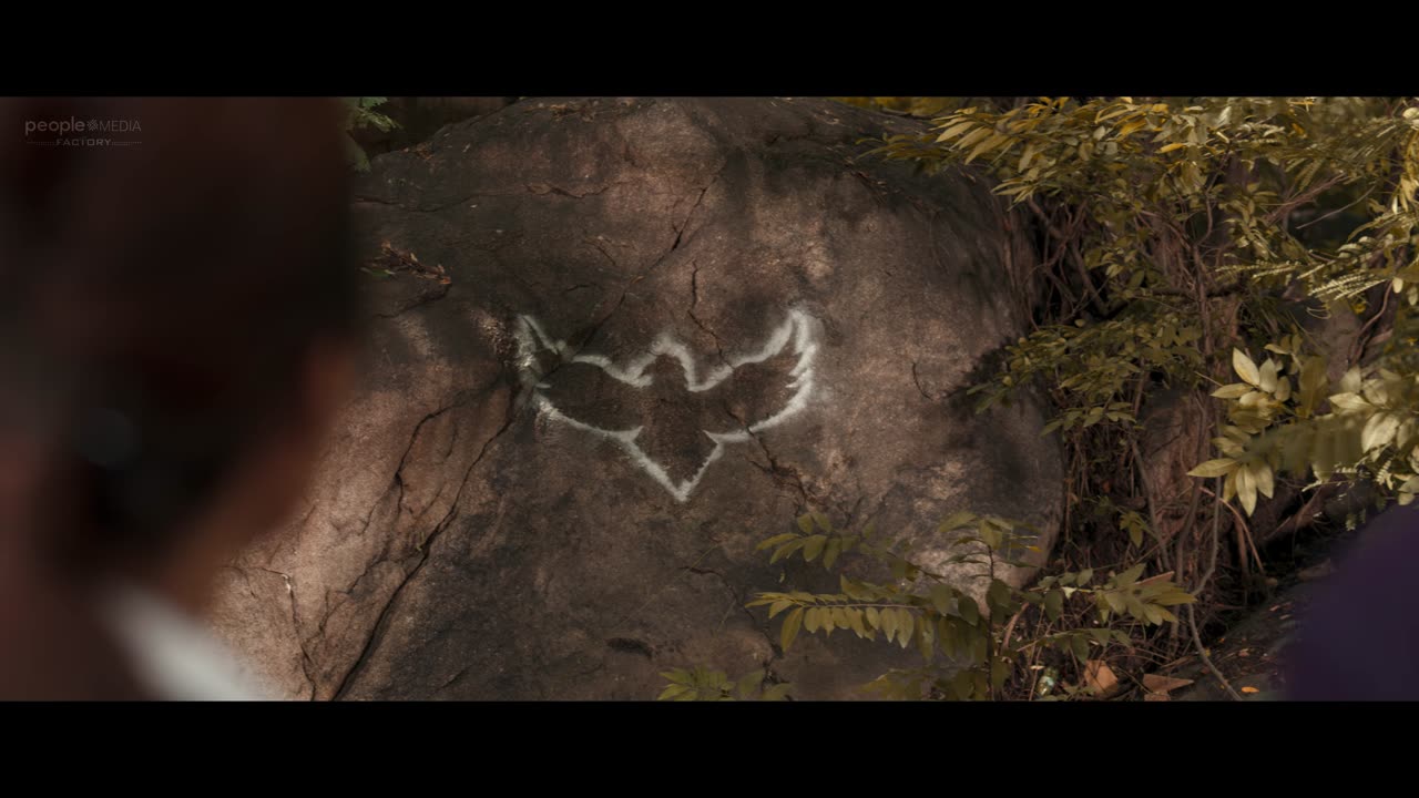 eagleteaser