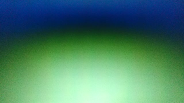 GOV DeSantis Being Criticized For Sending Migrants To Martha's Vineyard!!!