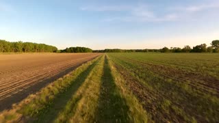 Honda CRF250F Trail Riding #38