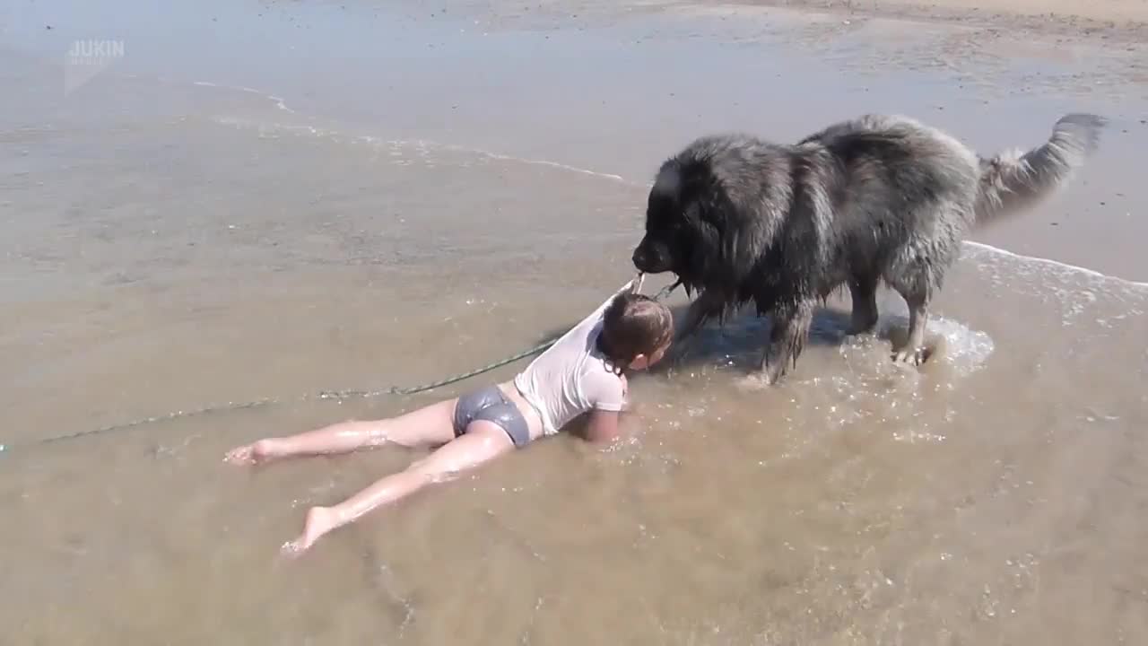 Dog Decides to Rescue Girl Playing in Ocean