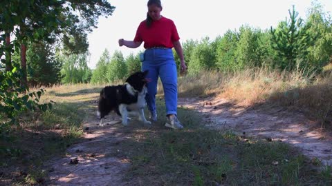 Young woman and her well trained loyal dog running around her