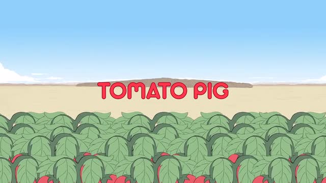 Tomato pig - Funny Animated Movie