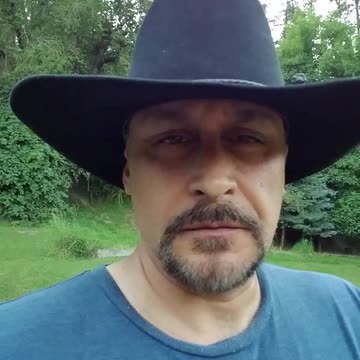 Another Walter Brenon Impression