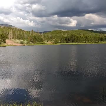 Hanging at the lake !