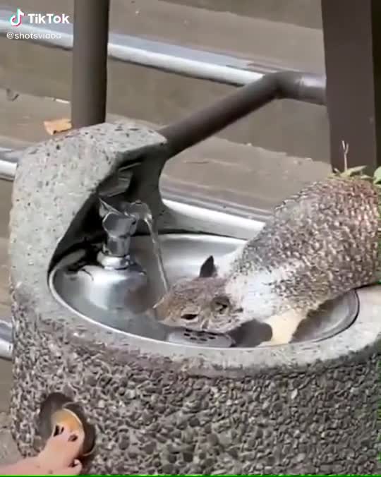 This lady loves squirrels too