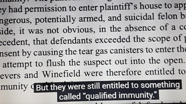 What is qualified immunity?