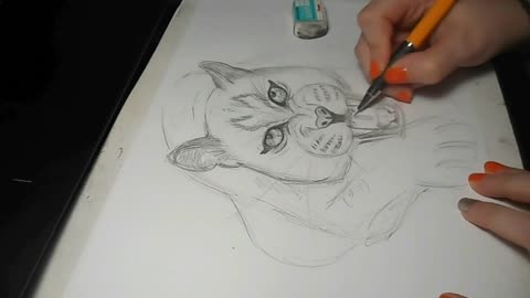Sketching a leopard-Time Lapse