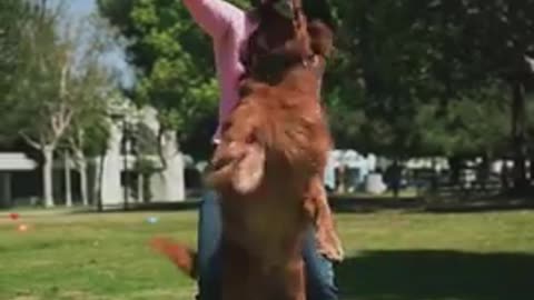 Funniest and Cutest Dog Training