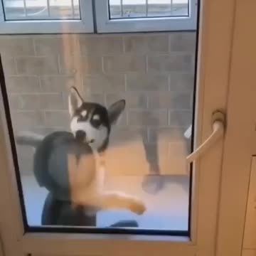 Are you not entertained 😂🤣