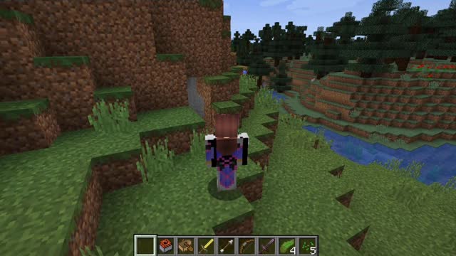 Minecraft 1.17.1_ Modded_Shorts_Outting_61