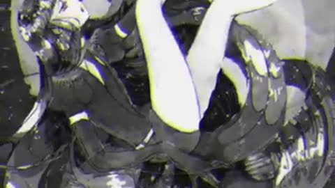 Shorts houseki no kuni