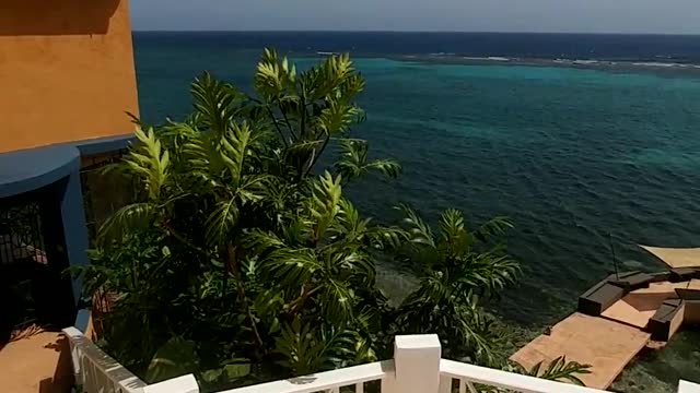 Moxons Beach Club Jamaica Views