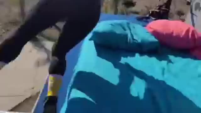 That Nap Life