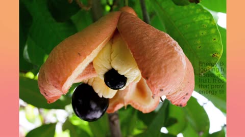 Discover the Top 10 Health Benefits of Ackee: Nature's Nutritional Powerhouse!