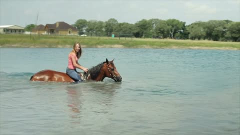 girl taking her horse in deep water