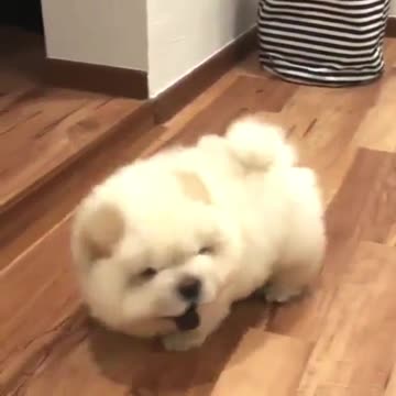 It's time to lose weight