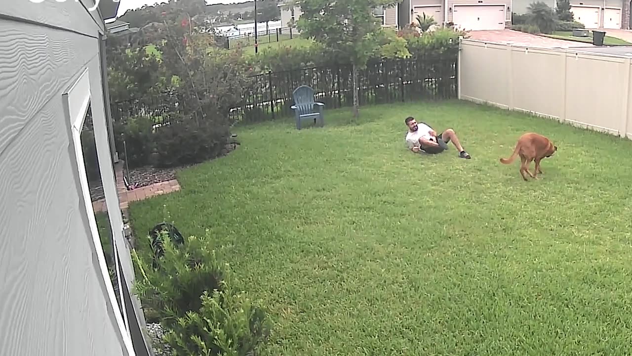 Blindfolded Dog Brings Down Owner