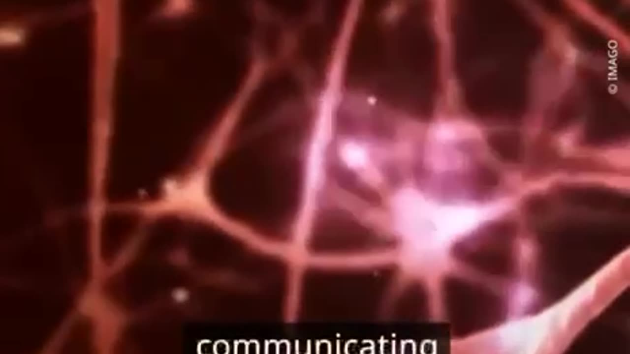 Computer Chip Made From Human Brain Cells