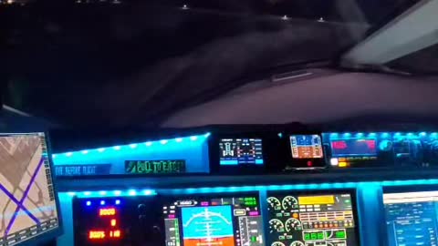 Flight simulator