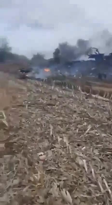 Destruction everywhere :(