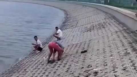 This is a beautiful and charming water-dwelling species