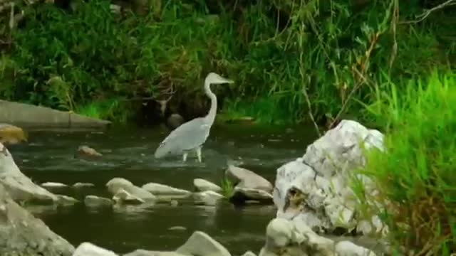 Time with God - November 22