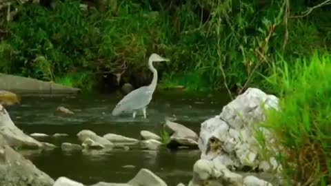 Time with God - November 22