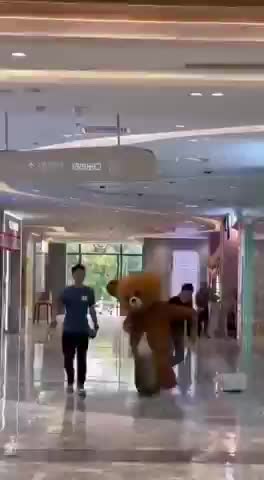 FUNNY & CUTE TEDDY -- TEDDY BEAR FUNNY COMEDY VIDEO🐻👯