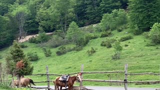 Beautiful nature in Galicnik, Macedonia