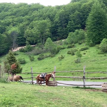 Beautiful nature in Galicnik, Macedonia