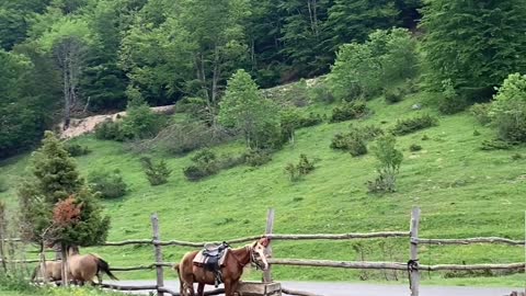 Beautiful nature in Galicnik, Macedonia