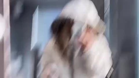Proof that TikTok requires no talent