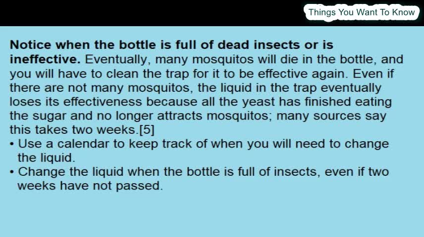 How To Make A Plastic Bottle Mosquito Trap