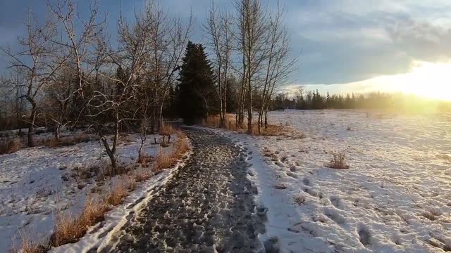 Calgary Inglewood bird sanctuary