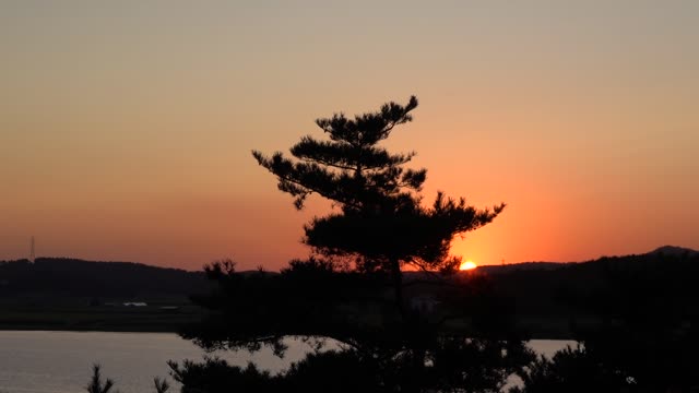 Red sunset, mountains and river trees. 6