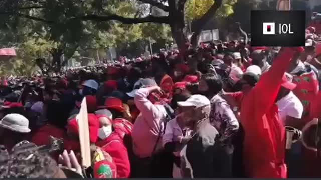 EFF leader Julius Malema at Vaccine protest