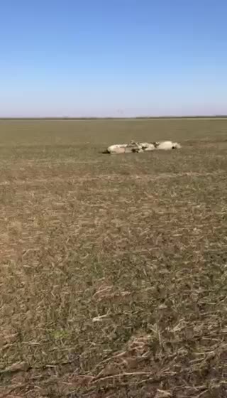 24.03.2022. Demilitarization and denazification of Ukraine!!!