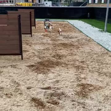 Peaches playing catch-up