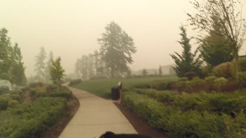 Wildfire Smoke Pours Into Town Near Portland Oregon