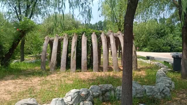 What kind of dinosaur skeleton is this skeleton?