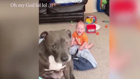 Dogs are the best friend of Babies 21