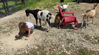 GOAT Dottie Digging Some More...