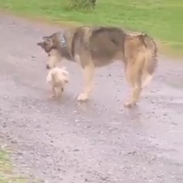 Когда неожидно застукали!