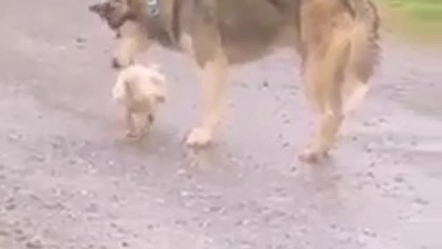 Когда неожидно застукали!