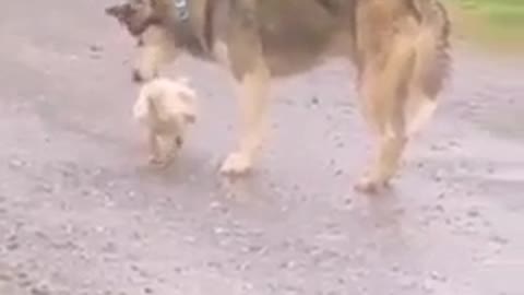 Когда неожидно застукали!