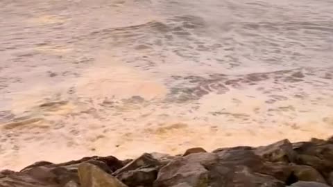 you've just arrived in Ireland and even the sea looks like Guinness