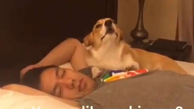 doesn't like dog kisses? let him sleep.