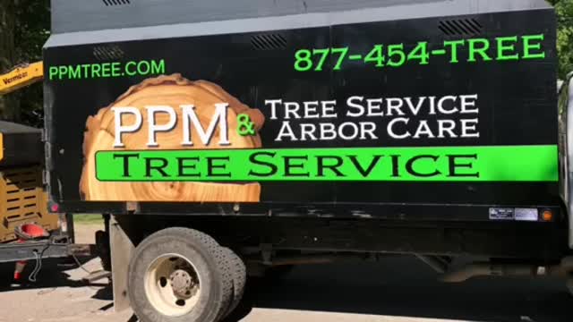 Misc tree work