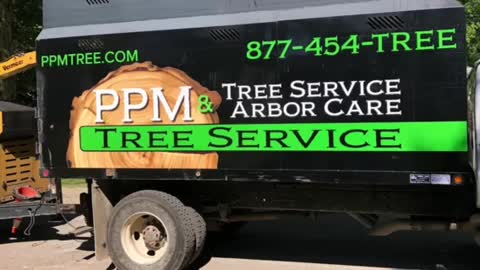 Misc tree work